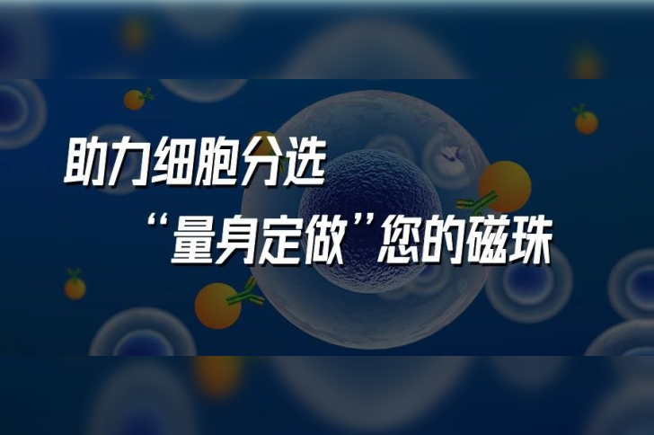 助力细胞分选，“量身定做”您的磁珠
