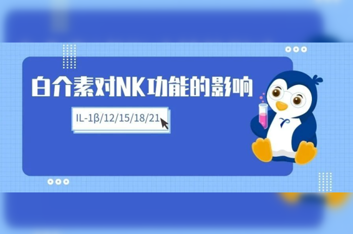 白介素对NK细胞功能的影响（IL-1β、IL-12、IL-15...）