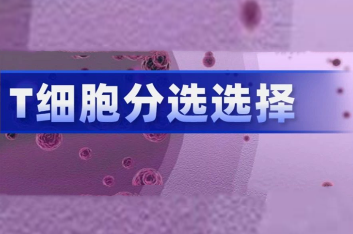 T细胞分离阴选、阳选区别有多大？