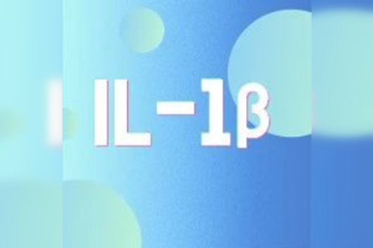 炎症关键靶点 IL-1β：那些你不得不了解的“痛”点