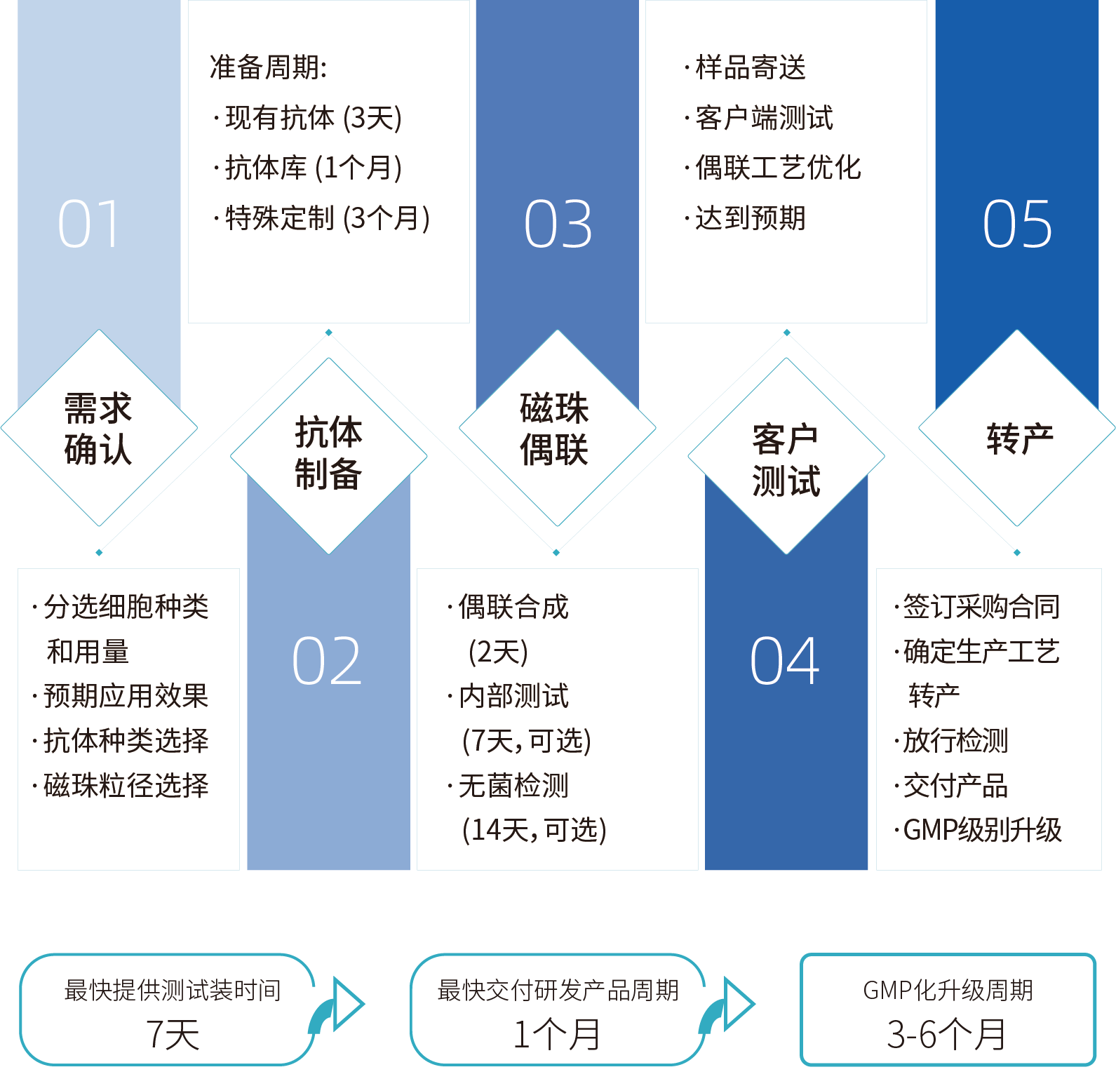 z6尊龙官方网站细胞分选激活磁珠/分选磁珠定制，定制流程