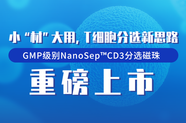 GMP级别CD3分选磁珠重磅上市！