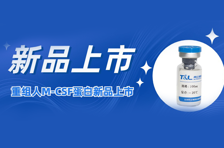 M-CSF | 让您的巨噬细胞更强大！
