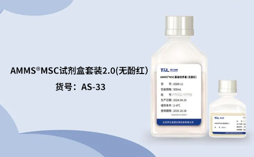 人间充质干细胞培养：挑战与应对之策