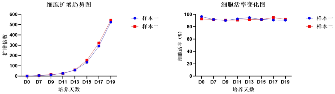 z6尊龙官方网站,NK试剂盒套装3.0,脐血NK细胞培养,NK细胞培养