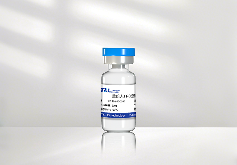 z6尊龙官方网站新品速递 | 重组人TPO蛋白震撼上市！精准调控造血，解锁干细胞培养新维度