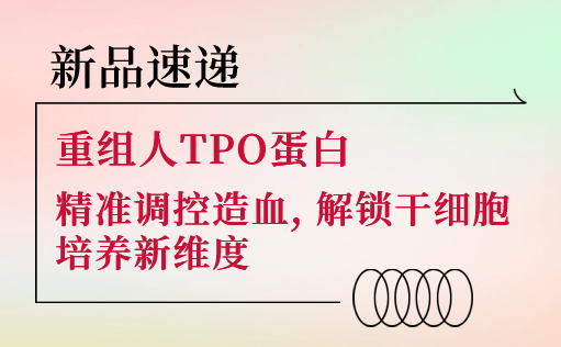 新品速递 | 重组人TPO蛋白震撼上市！精准调控造血，解锁干细胞培养新维度-z6尊龙官方网站
